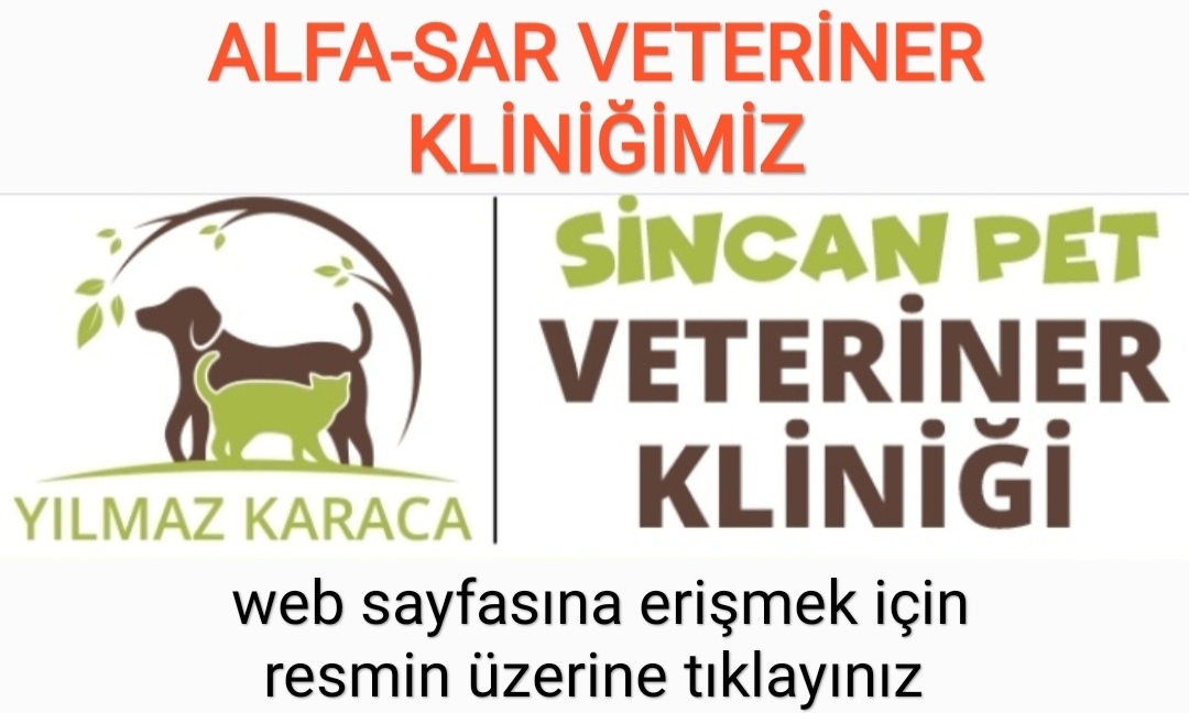 SİNCAN PET VETERİNER KLİNİĞİ 